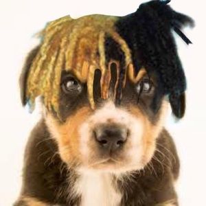 Meet your Posher, Jacoby